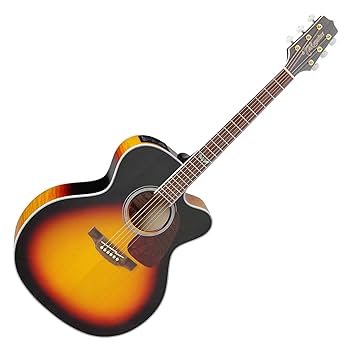 takamineギター Takamine(タカミネ)、1990年代の検索結果1～14件【楽器検索｜J